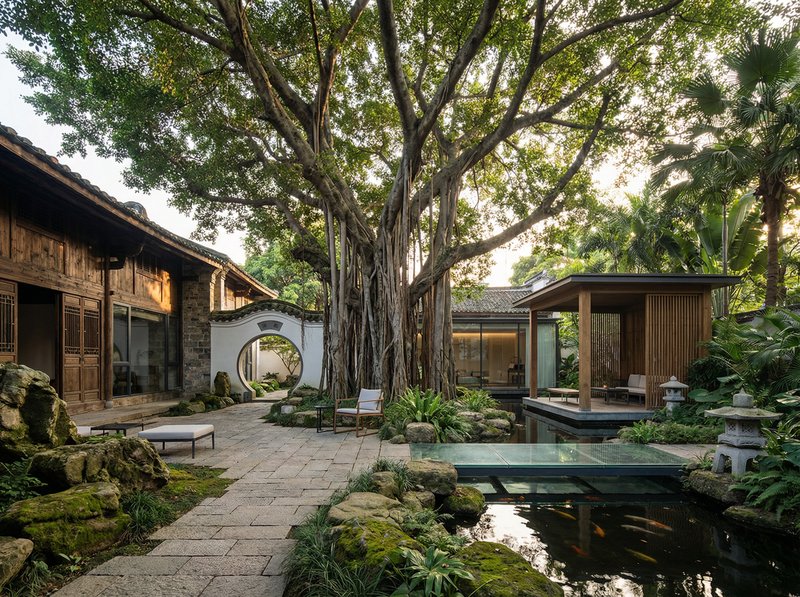 黄色仓库古榕树纪录片视频