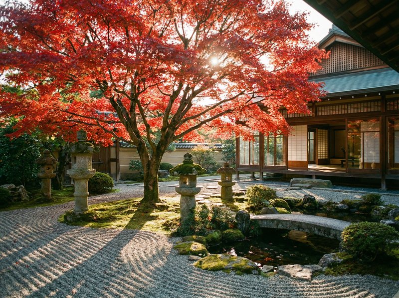 黄色仓库红枫视频